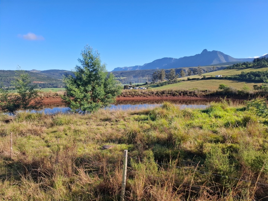 6 Bedroom Property for Sale in Riversdale Rural Western Cape